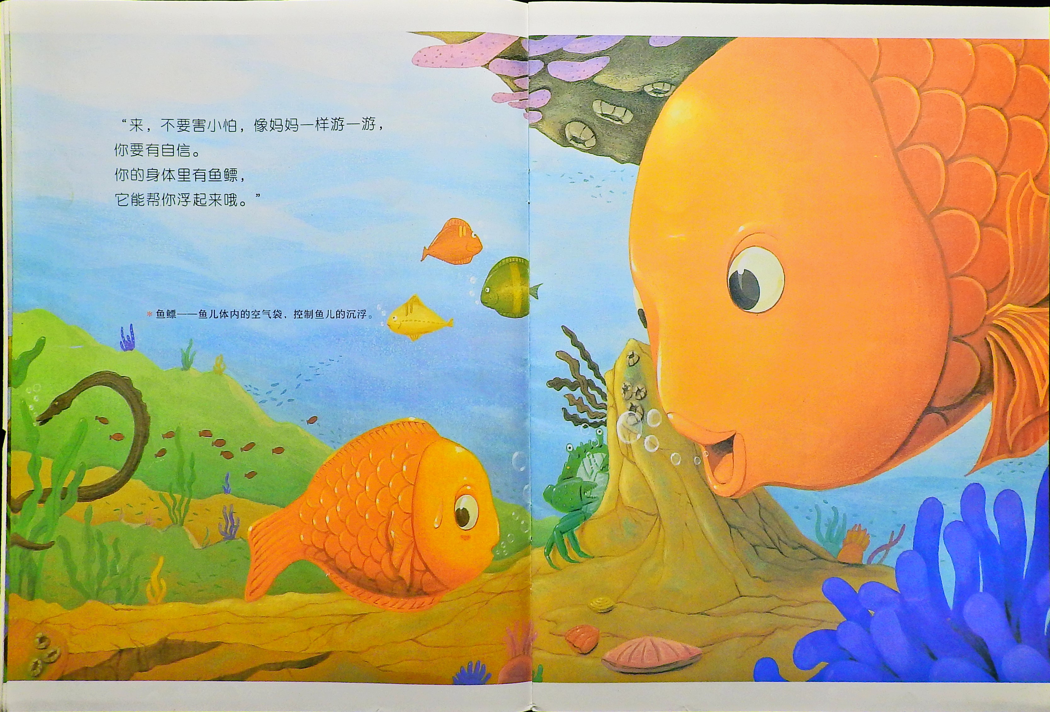 小鱼快跑 (06),绘本,绘本故事,绘本阅读,故事书,童书,图画书,课外阅读